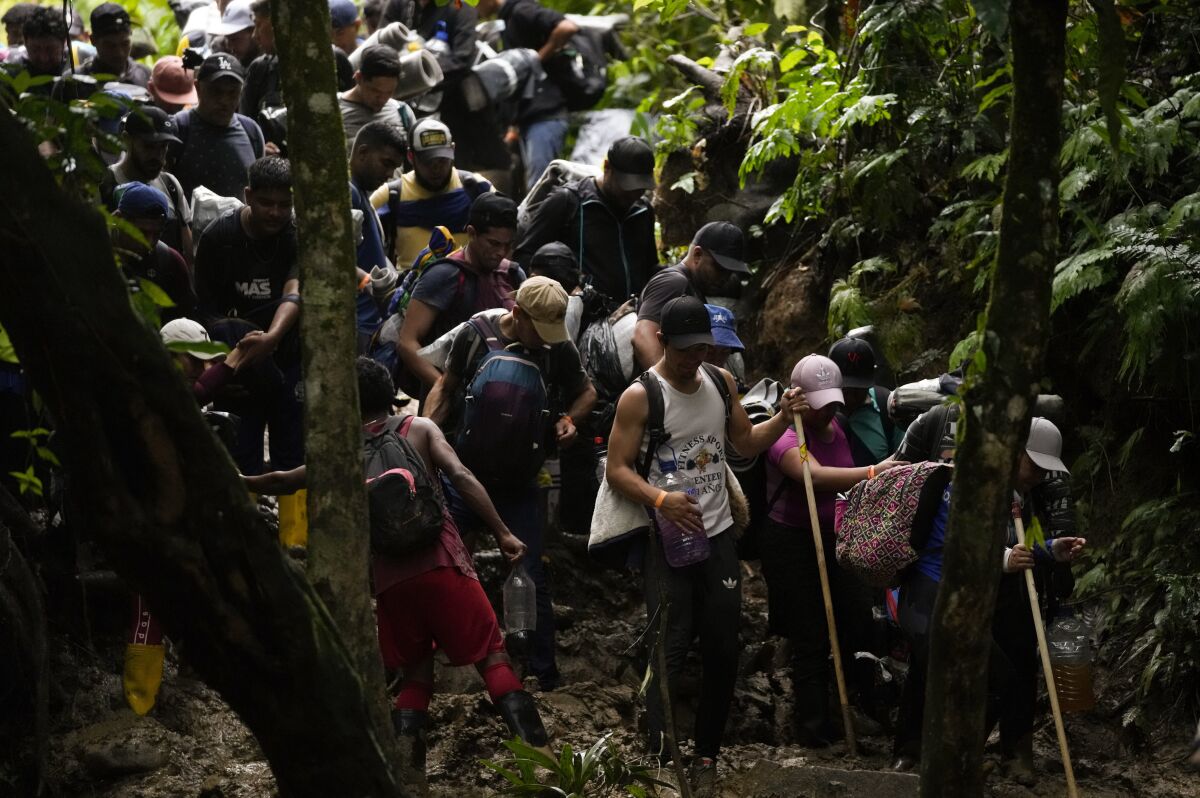 Minas antipersona otro peligro para los migrantes en el Tapón del Darién