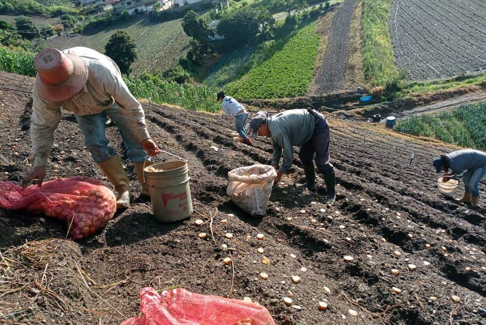 Denunciaron 200 ocupaciones ilegales en tierras agrarias venezolanas