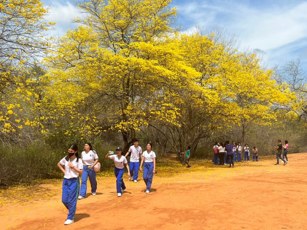 Comienza la fiesta de los curarires en el Jardín Botánico de Maracaibo