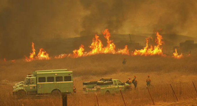 Explosión e incendio en una fábrica láctea mató a 18 mil cabezas de ganado en Texas: Una mujer resultó herida (+Video)