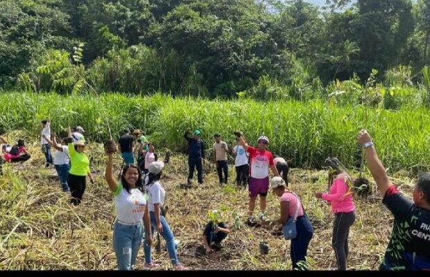 Desarrollan jornada de reforestación en Parque Nacional Henri Pittier