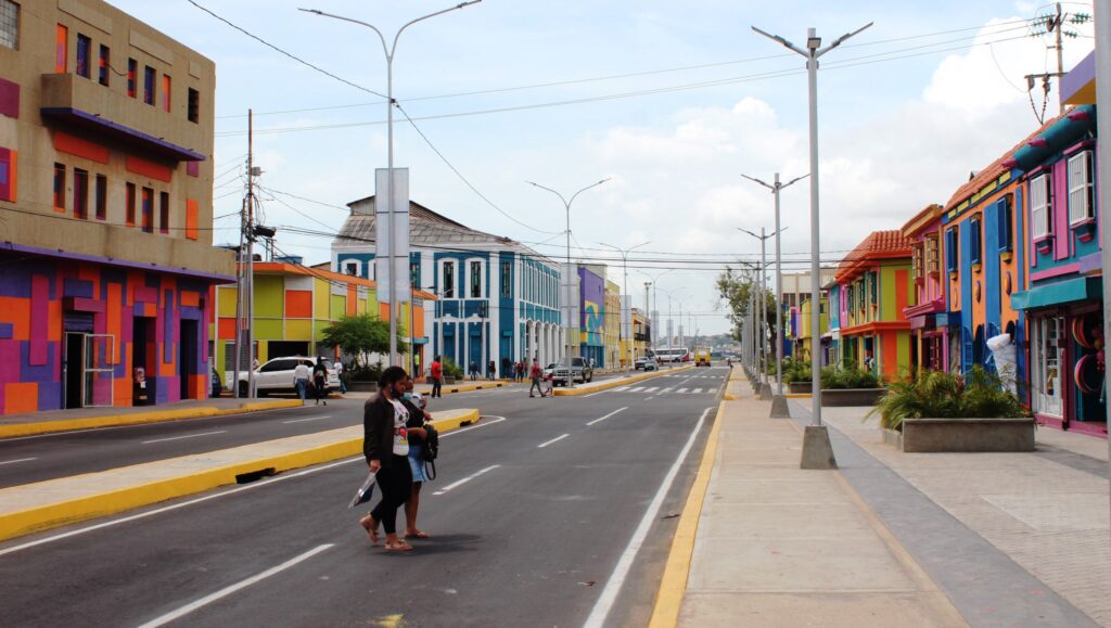 árbol Maracaibo