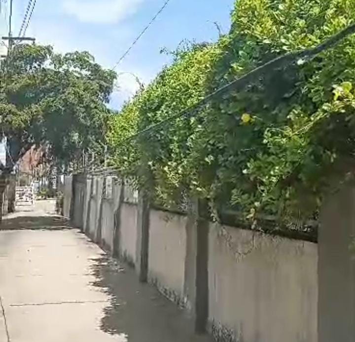 Corpoelec: hay un cable caído en la Av. 17 con calle 72, ¡qué peligro! (+Video)