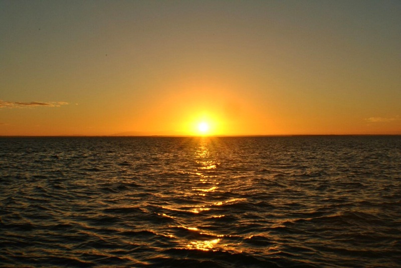 Lago petróleo verdín