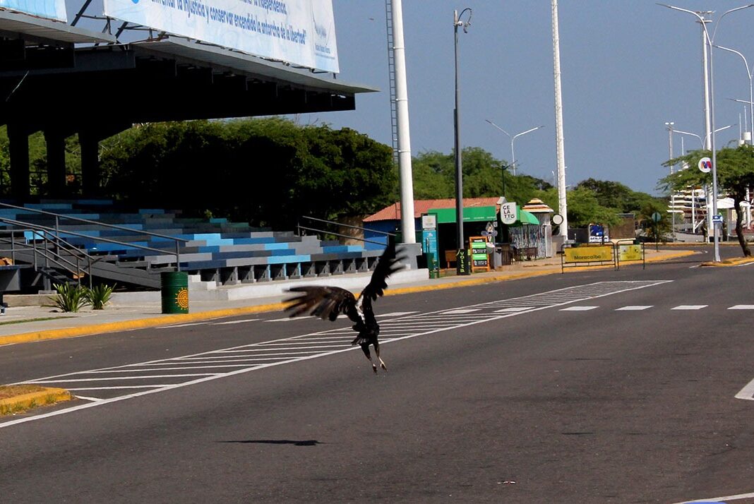 Se mantienen temperaturas máximas de 35 °C en Maracaibo este jueves 6-Feb