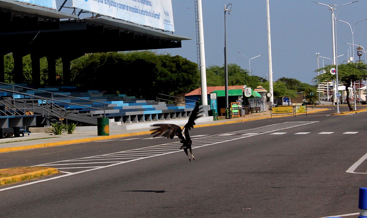 Se mantienen temperaturas máximas de 35 °C en Maracaibo este jueves 6-Feb