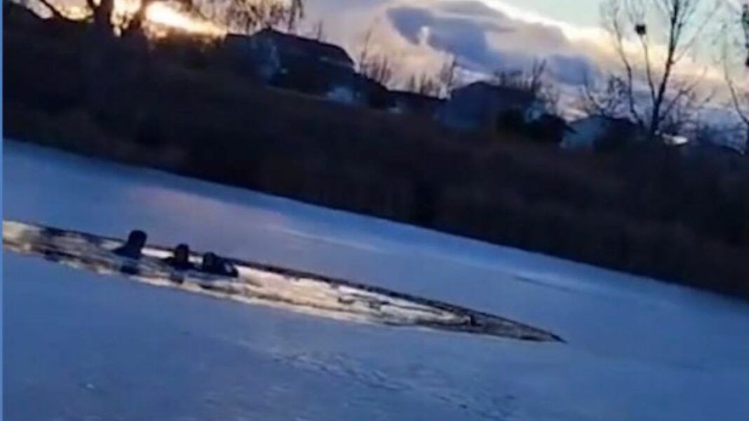 Venezolanos rescataron a niñas tras caer a un lago congelado en Colorado (+Video)