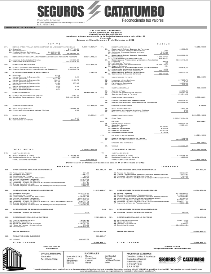 Seguros Catatumbo. Balance 2022