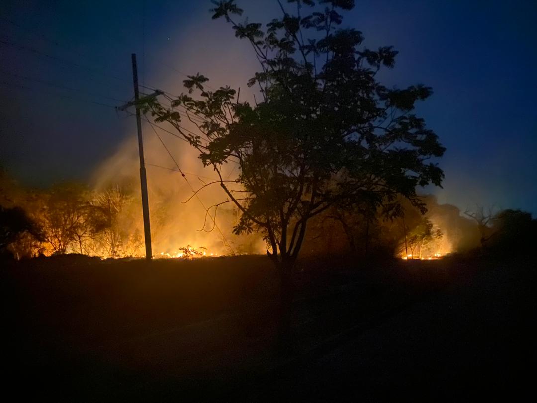 Reportan nuevo incendio forestal en Bachaquero (+Video)