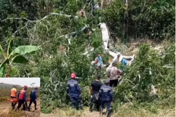 Murió niño aplastado por un árbol en una finca en Tinaquillo