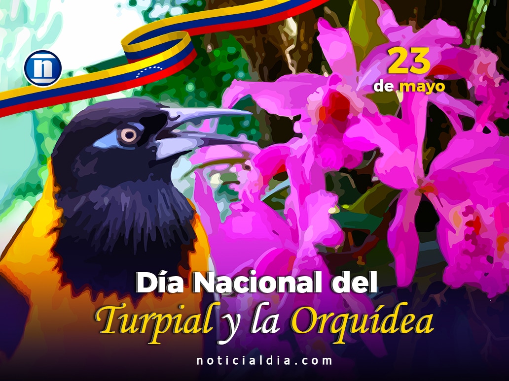 23-May: Día de la orquídea y el turpial como símbolos nacionales