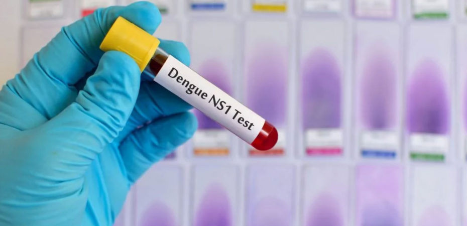 En 385 % suben los casos de dengue en México: Crece alerta ante la temporada de huracanes