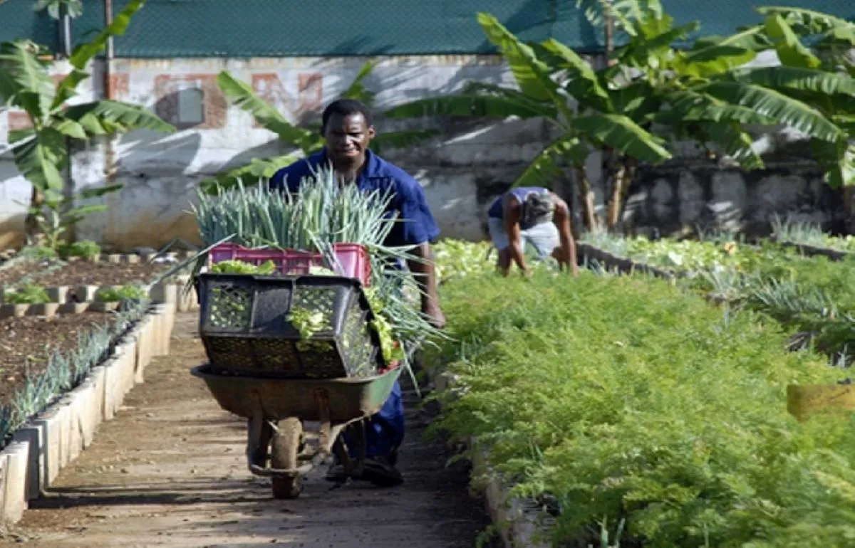 Venezuela promueve la formación de productores en agricultura urbana