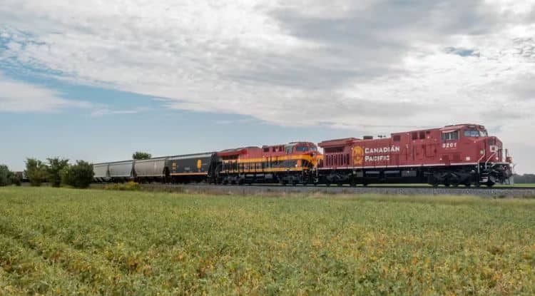 Muere mujer tras ser embestida por el tren La Emperatriz en México: Se acercó a tomarse una selfie