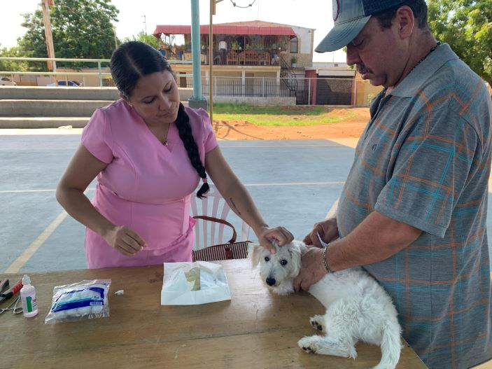 Fundación Vida Animal celebró su primera jornada de asistencia veterinaria en San Francisco