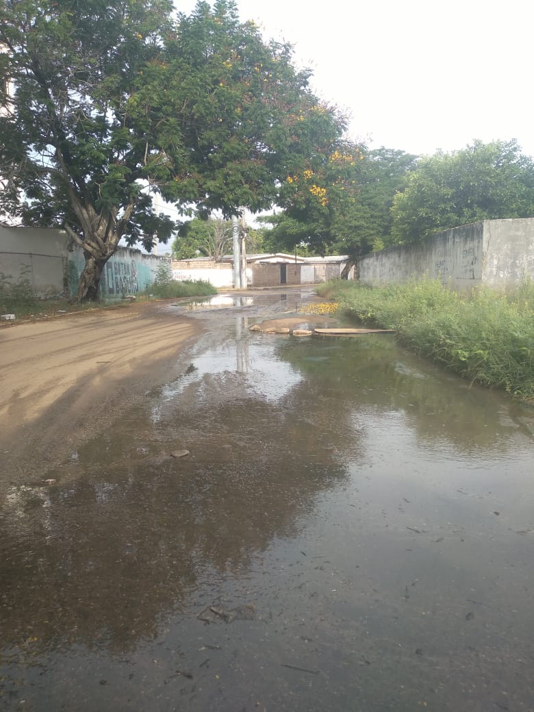 Habitantes de las residencias La Florida, sector Ayacucho, piden atiendan desborde de aguas negras