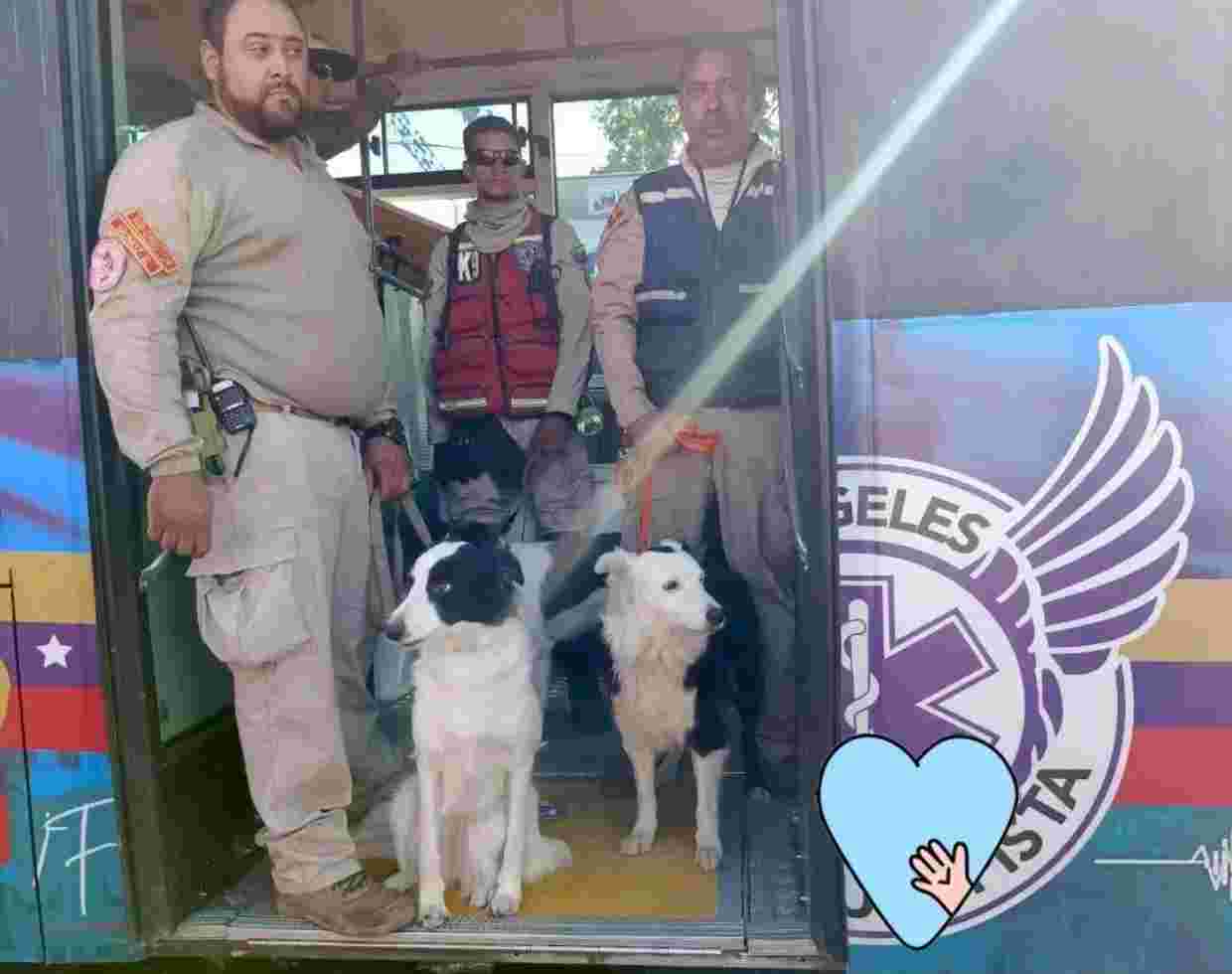 Equipo Canino inicia labores de búsqueda de desaparecidos en Cumanacoa