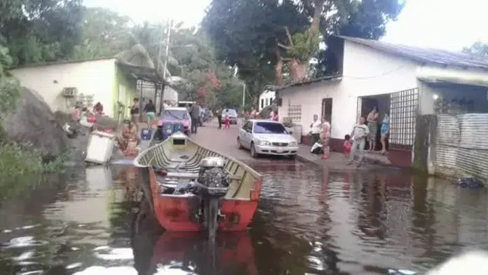 Comunidad Araguaimujo teme quedarse sin comida ante la creciente del río Orinoco