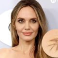 Angelina Jolie añade un nuevo tatuaje a su colección: mira el bello significado