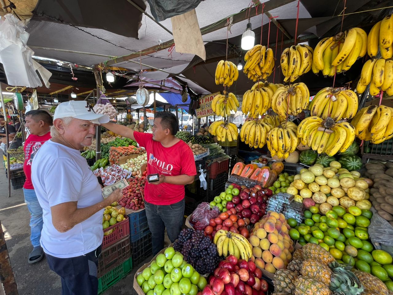 El cambur: La fruta que más comen los marabinos