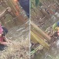Rescatan a cuatro niños wayúu tras ser desplazados por el río Quintanillo en el municipio Sucre
