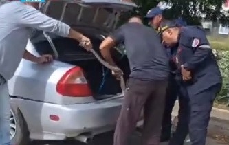 Hallaron una tragavenado de casi dos metros  dentro de un carro en Simón Bolívar – COL