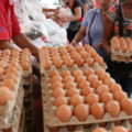 Huevos y pollos son los alimentos que más comen los venezolanos