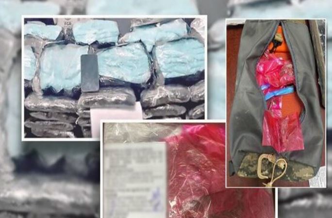 Trasladaban 50 mil pastillas de fentanilo en cajas de pollo en México