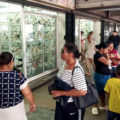 Ambiente de mayor tranquilidad en la actividad comercial de Maracaibo