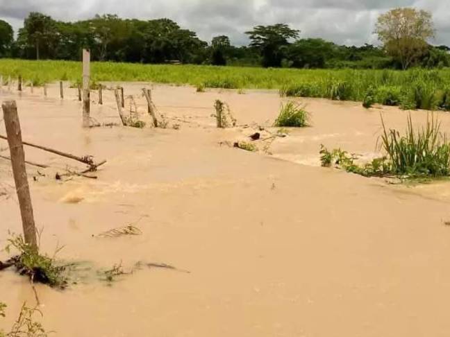 Al menos 15 fincas en Zulia afectadas por el desbordamiento del río Burro Negro