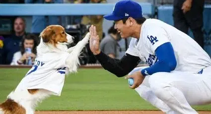 El perro de Shohei Ohtani hizo el primer lanzamiento en el Dodger Stadium