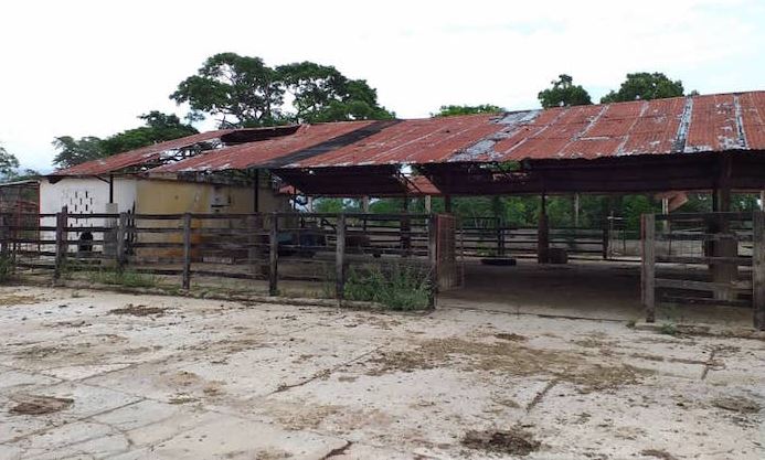 Matan ocho vacas de una finca en Machiques: 