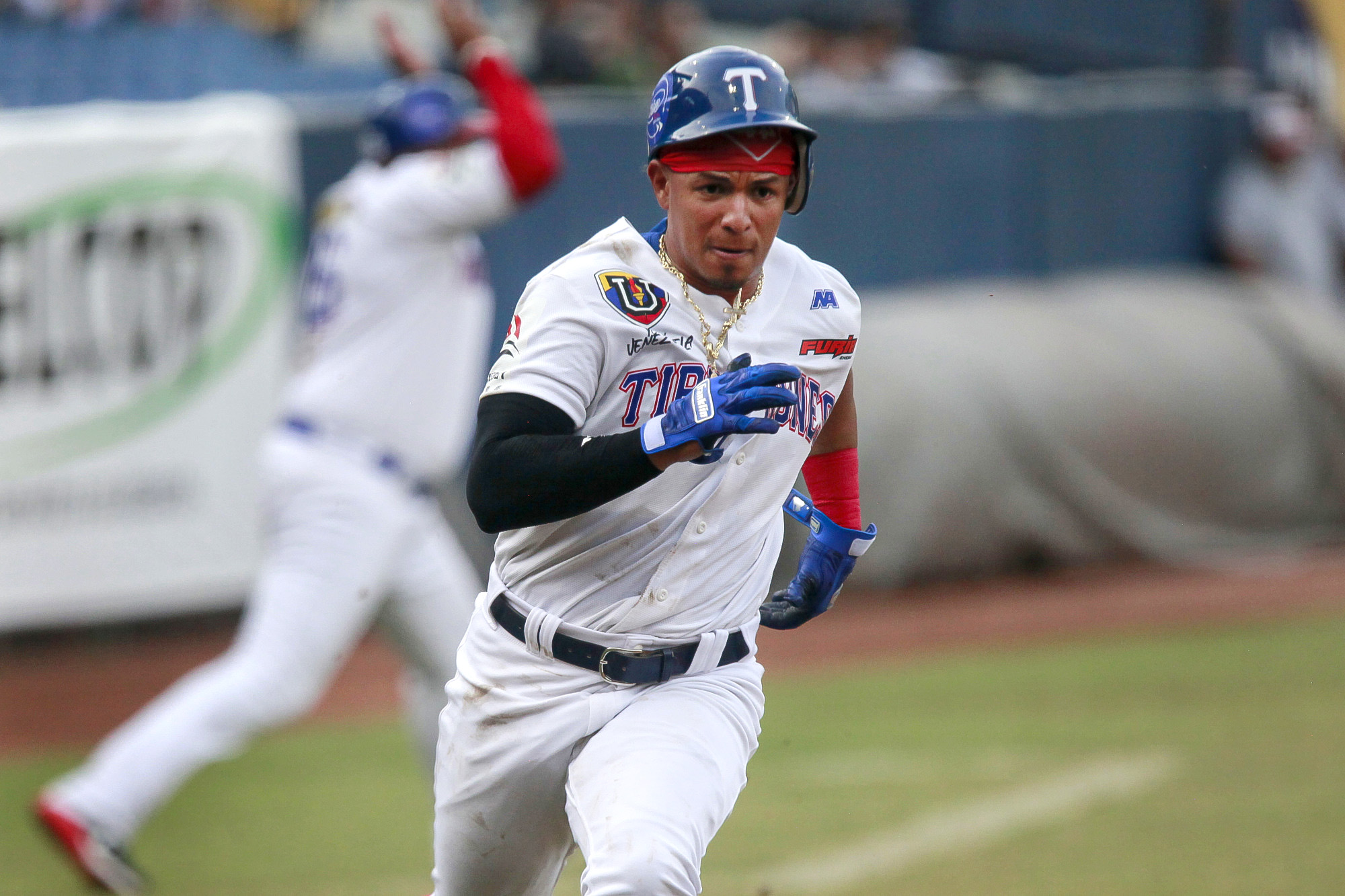 Tigres de Aragua y Tiburones de La Guaira acuerdan cambio en la LVBP