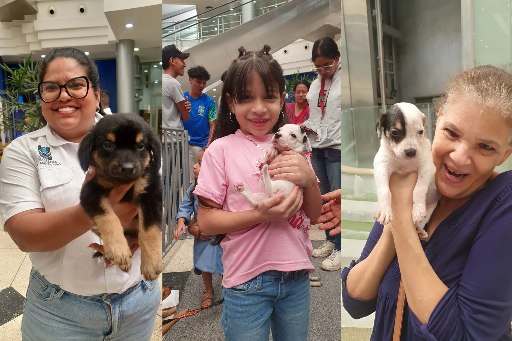 22 perritos y tres gaticos buscan nuevos papás: Jornada de adopción en el Sambil de Maracaibo