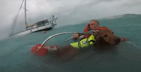 Rescatan a hombre y su perro luego que Helene destruyó su velero