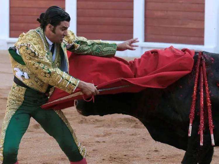 España elimina oficialmente el Premio Nacional de Tauromaquia