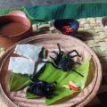 La araña mona, exquisitez del Amazonas, que debe cocinarse con mucho cuidado, 