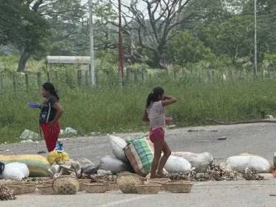 Ganaderos denuncian pérdidas económicas por bloqueo de vías de la Etnia Yukpa