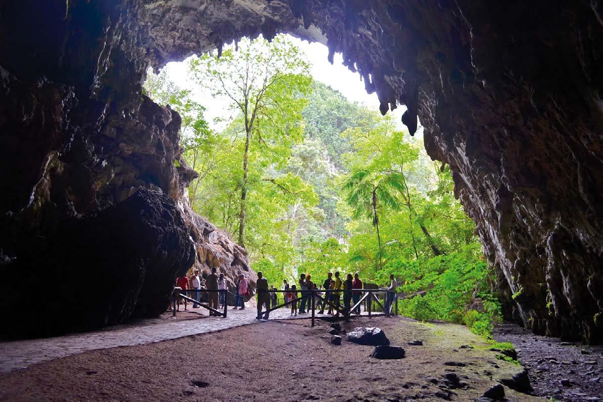 ¡La cueva del Guácharo! Maravilla natural descubierta hoy hace 225 años