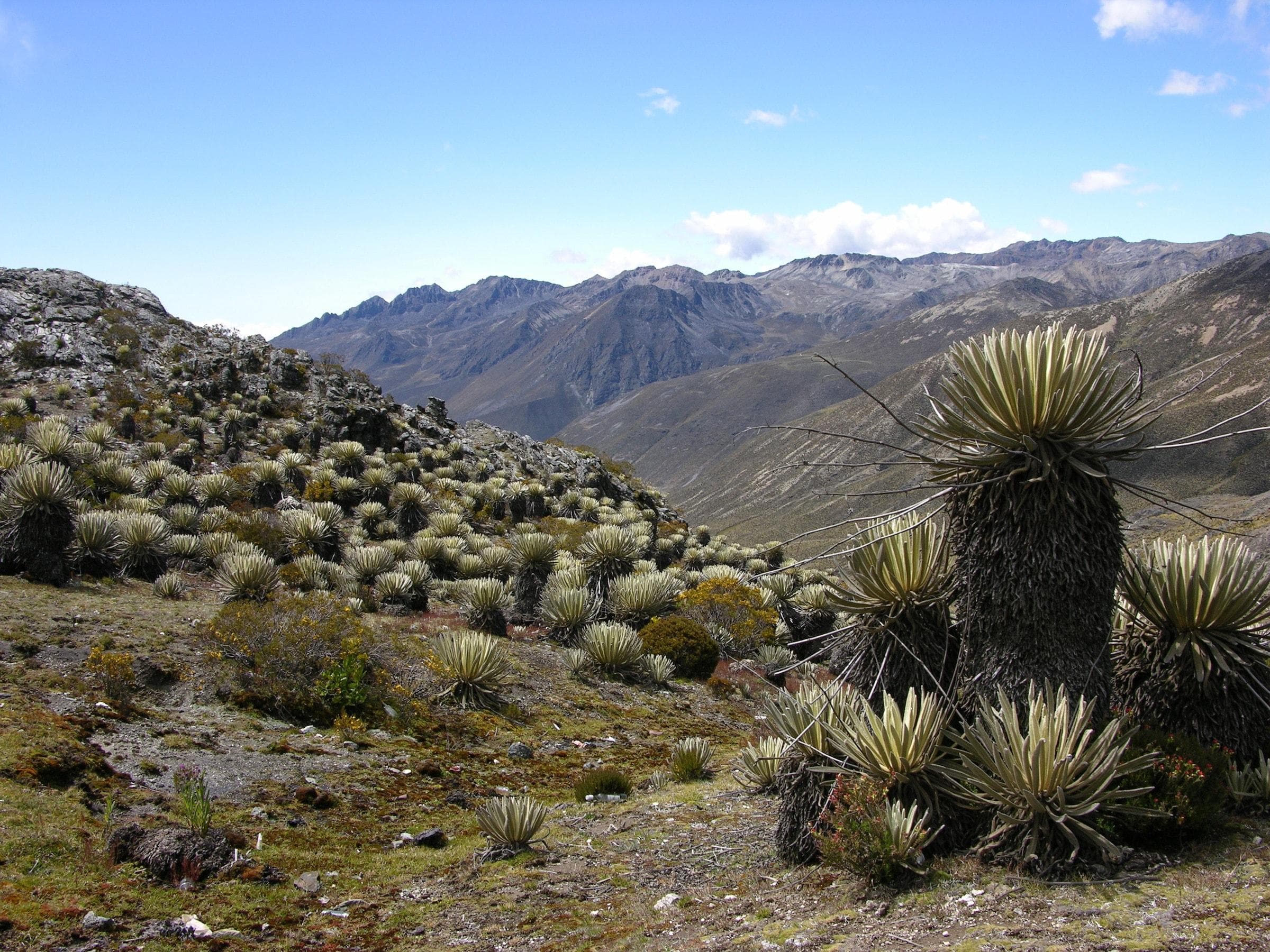 Gobierno evalúa proyectos para el Macizo Montañoso del Turimiquire