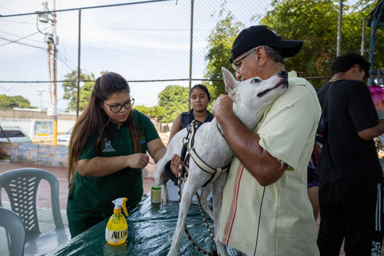 Más de 2 mil felinos han sido esterilizados en el Centro de Atención Veterinaria en lo que va de 2024