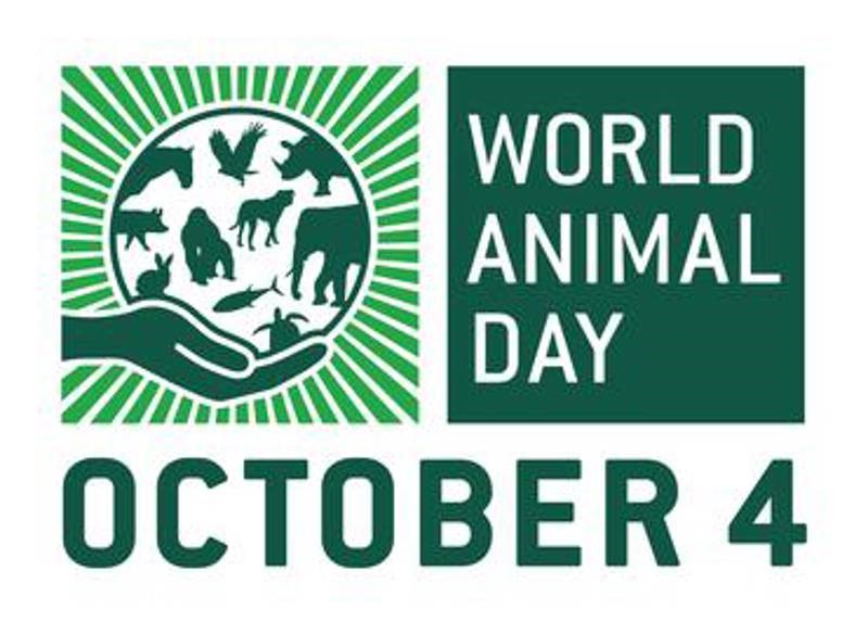 ¿Existe el día internacional de los animales?