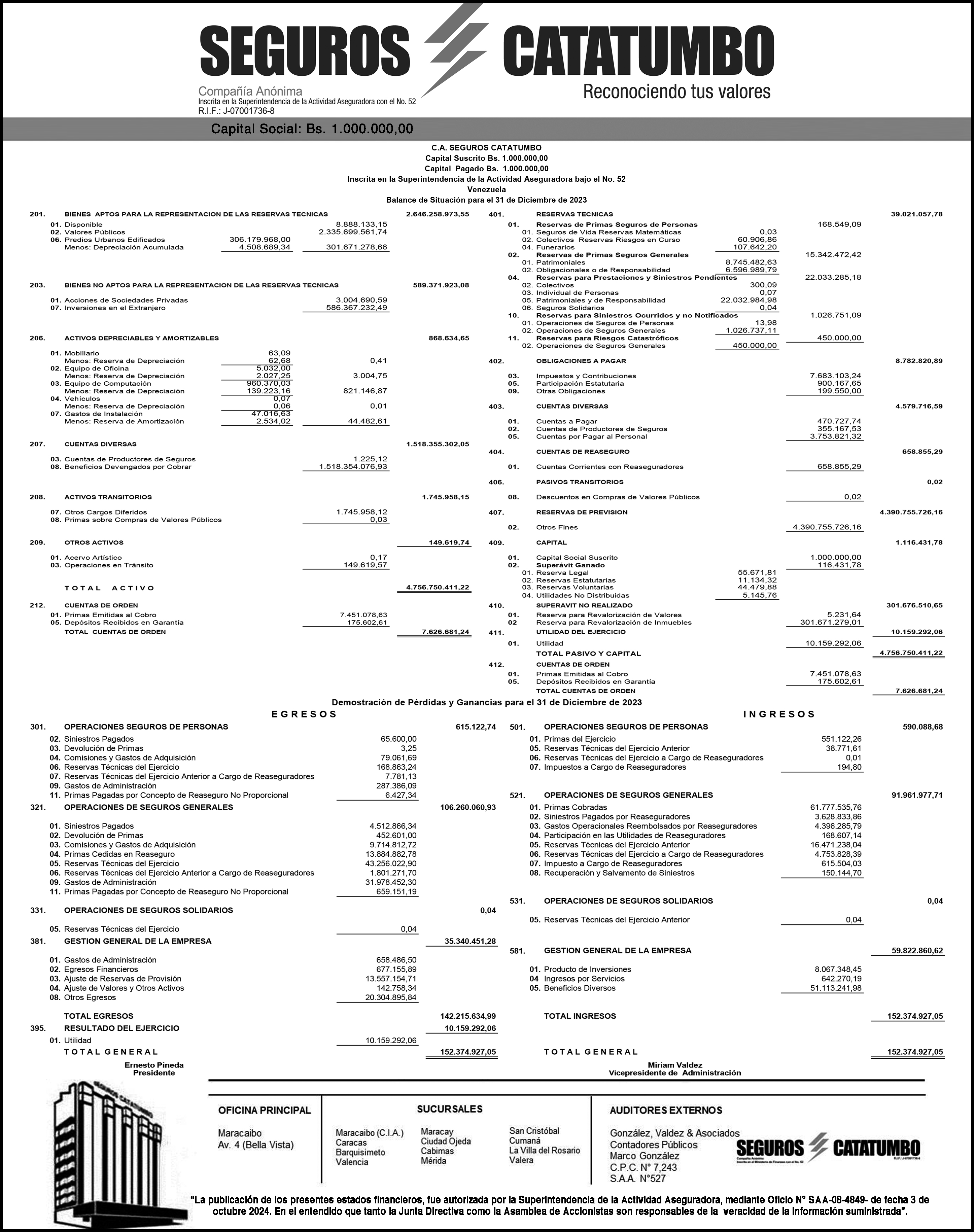 Seguros Catatumbo: Balance de Situación