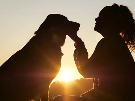 Diseñan algoritmo que puede calcular la edad biológica en perros