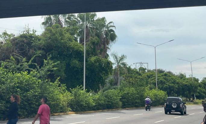 ¡CUIDADO! Los estudiantes de LUZ están protestando debajo de la pasarela de Humanidades