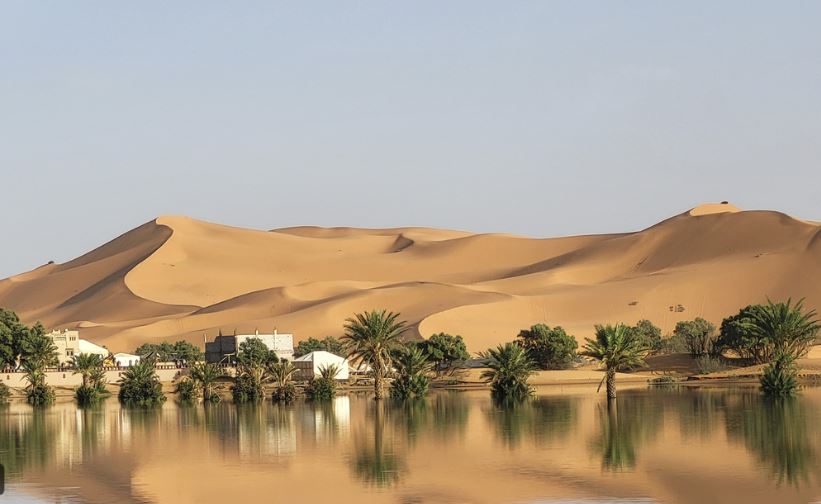 Intensas lluvias devuelven la vida al desierto del Sáhara