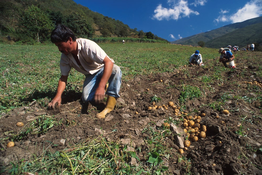 Venezuela posee la capacidad para producir alimentos 