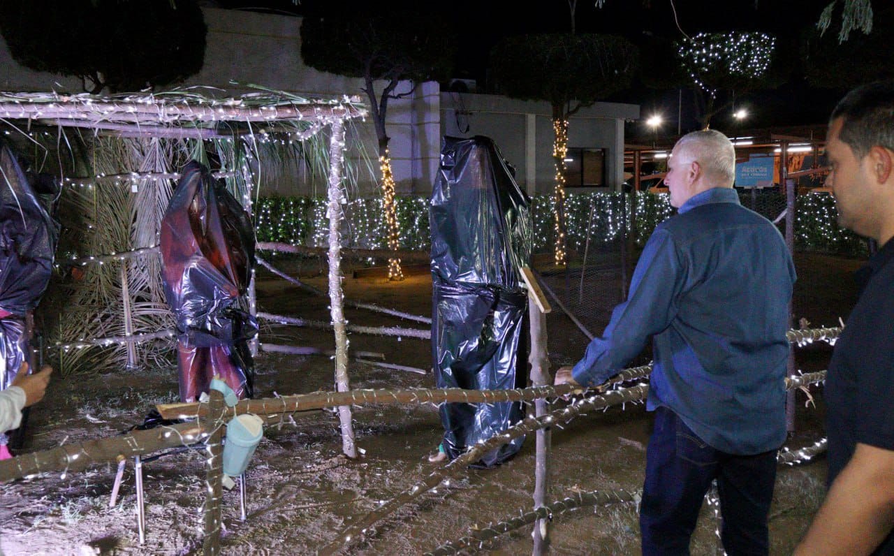 San Francisco se iluminará con la llegada de la Navidad y su tradicional pesebre