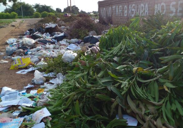 Vecinos de Altos del Sol Amado claman para que les recojan la basura: Moscas, mal olor y roedores no los dejan en paz