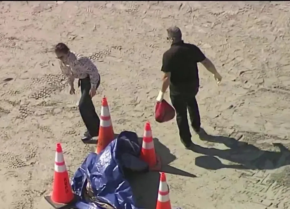 Encuentran una cabeza humana enterrada en una playa de EEUU